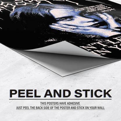 Set of 12 Billie Eilish Music Artist Wall Posters Self Adhesive Sheet Popular Music Artist Album Art Wall Posters Size - A4 Poster for Wall Decoration for Bedroom, Office, Living Room, Dorm Room